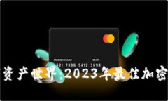 畅游数字资产世界：2023年