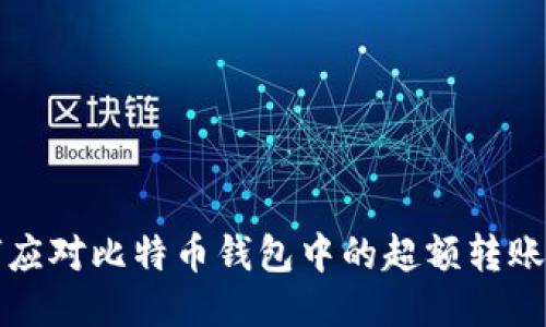 如何应对比特币钱包中的超额转账问题