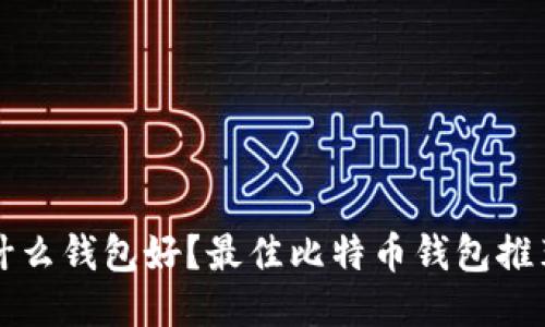 买比特币用什么钱包好？最佳比特币钱包推荐与使用指南