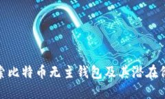 探索比特币无主钱包及其