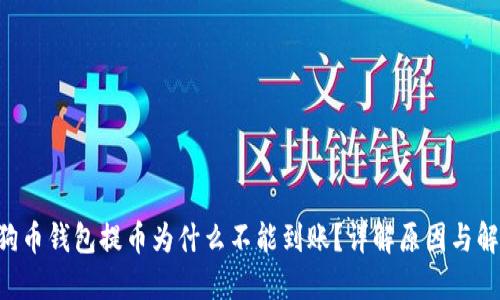 sub狗狗币钱包提币为什么不能到账？详解原因与解决方案