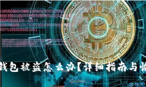 比特币钱包被盗怎么办？详细指南与恢复步骤