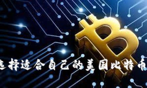 如何选择适合自己的美国比特币钱包？