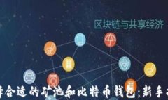 选择合适的矿池和比特币