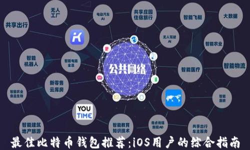
最佳比特币钱包推荐：iOS用户的综合指南