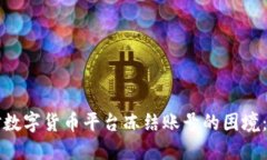 如何应对数字货币平台冻