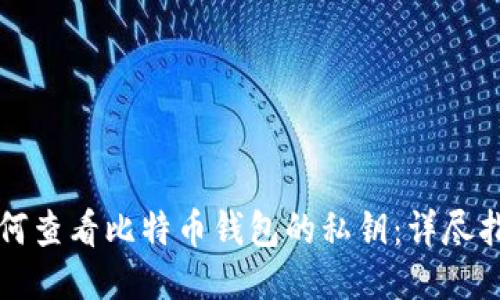 如何查看比特币钱包的私钥：详尽指南