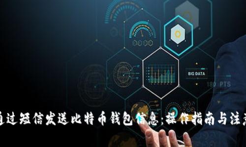 如何通过短信发送比特币钱包信息：操作指南与注意事项