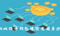 中本聪的比特币钱包中究