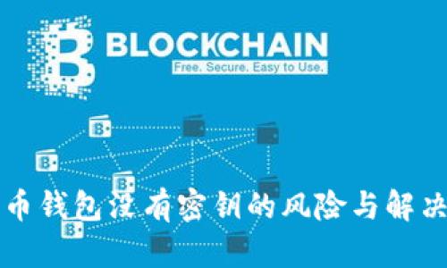 比特币钱包没有密钥的风险与解决方案