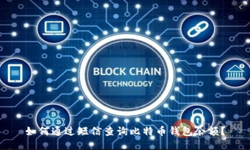 如何通过短信查询比特币钱包余额？