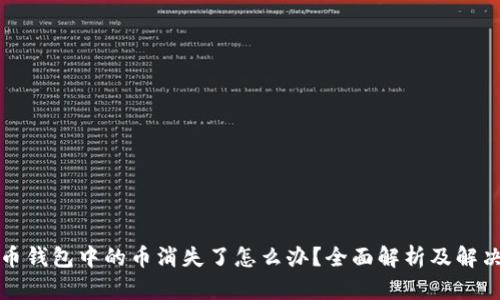 比特币钱包中的币消失了怎么办？全面解析及解决方案