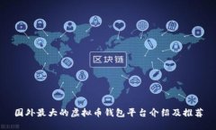 国外最大的虚拟币钱包平