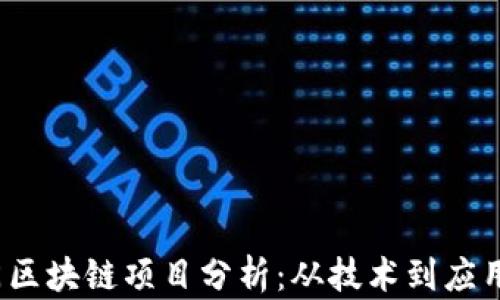 
2023年热门区块链项目分析：从技术到应用的全面解读