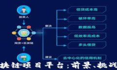 全面解读区块链项目平台