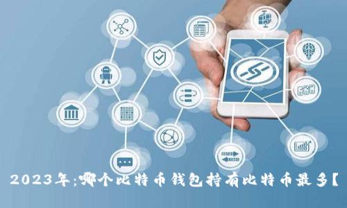 2023年：哪个比特币钱包持有比特币最多？