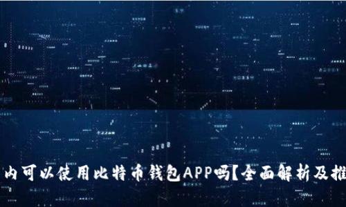 国内可以使用比特币钱包APP吗？全面解析及推荐