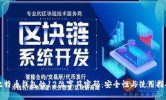比特币钱包的12位字符密码
