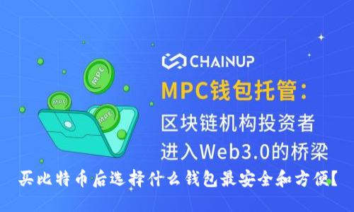 买比特币后选择什么钱包最安全和方便？