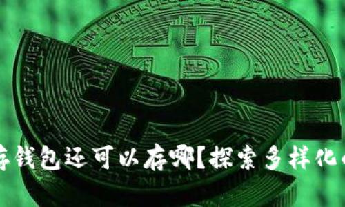虚拟币不存钱包还可以存哪？探索多样化的存储选项
