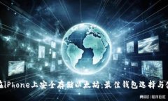 : 如何在iPhone上安全存储以