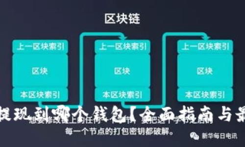 狗狗币提现到哪个钱包？全面指南与最佳选择