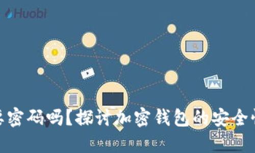 加密钱包需要密码吗？探讨加密钱包的安全性与使用攻略