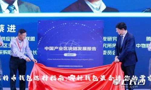 比特币钱包选择指南：哪种钱包最合适你的需求？