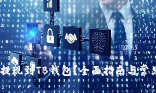 USDT如何提现到TB钱包？全面指南与常见问题解答