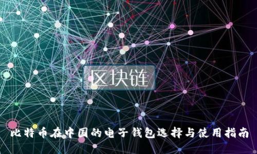 比特币在中国的电子钱包选择与使用指南