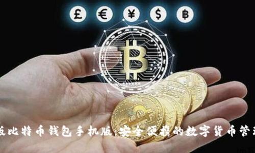 中文版比特币钱包手机版：安全便携的数字货币管理工具